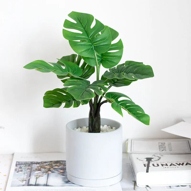 Artificial Simulation Fake Plant Green Turtle Back Thick Root Rain Leaves Good Quality Living Room Balcony Room Decoration