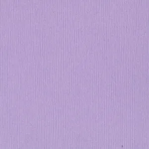 Bazzill Fourz - 12x12 - Purple Palisades