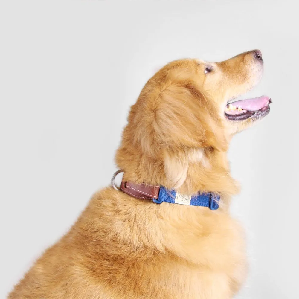 BUNDLE DEAL: Sputnik Nylon Dog Collar   Multifunctional Leash Set (Blue)