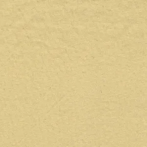 Champaigne | Shiny Nylon Crinkle - SKU 3007A