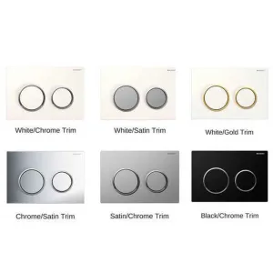 Geberit Kappa 21 Dual Flush Button and Plate
