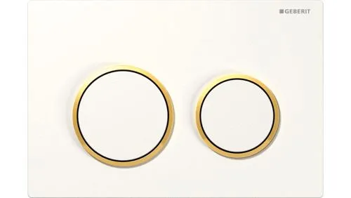 Geberit Kappa 21 Dual Flush Button and Plate