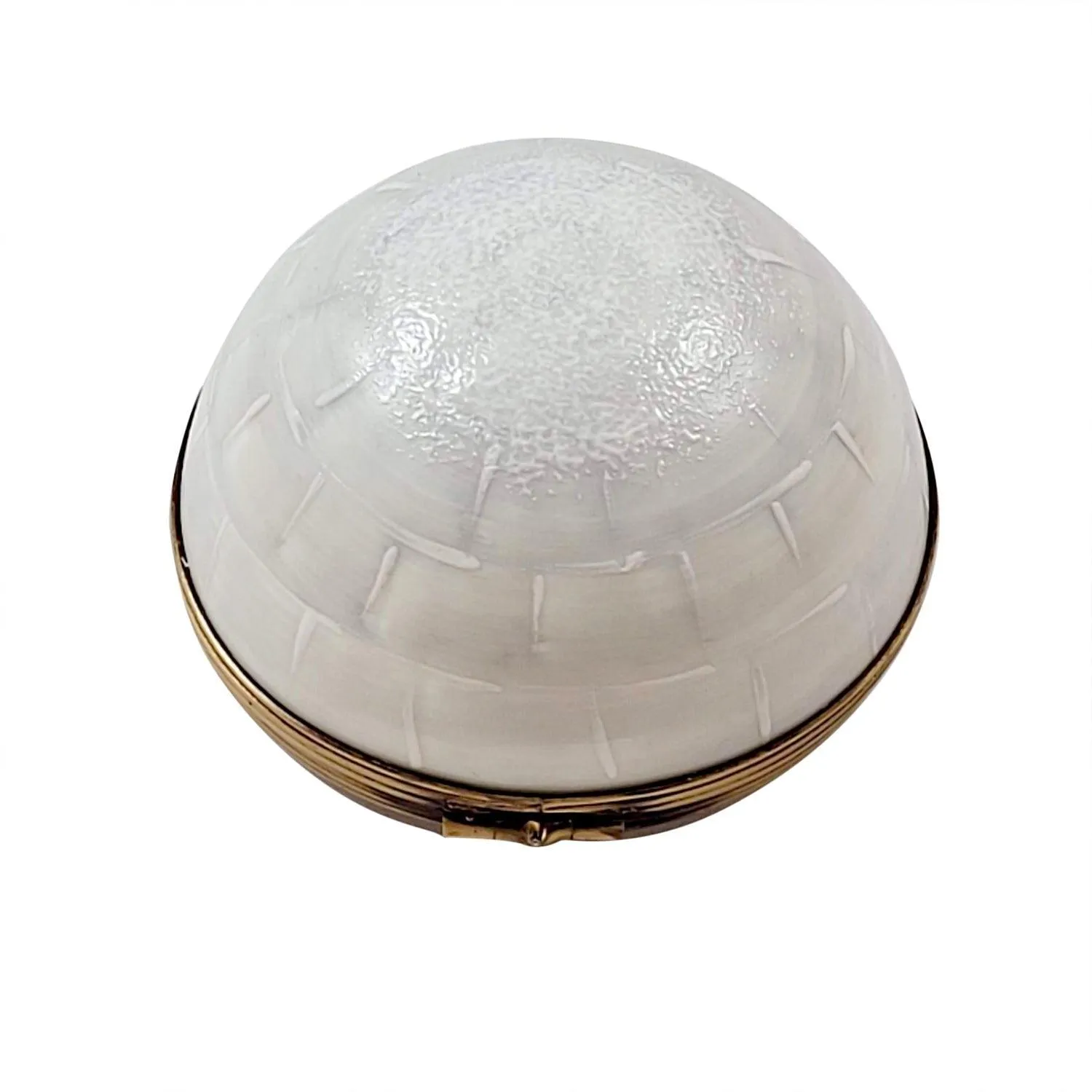 Igloo with Seal limoges box