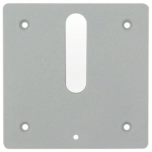 Jandy Minijet Cover Plate MJ6320 - Dove Gray