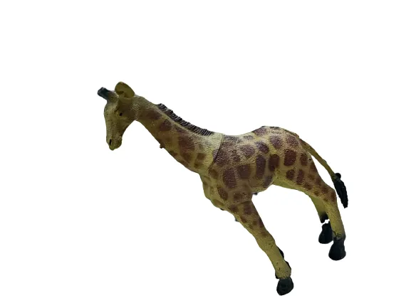 Jungle Animals (Styles Vary)
