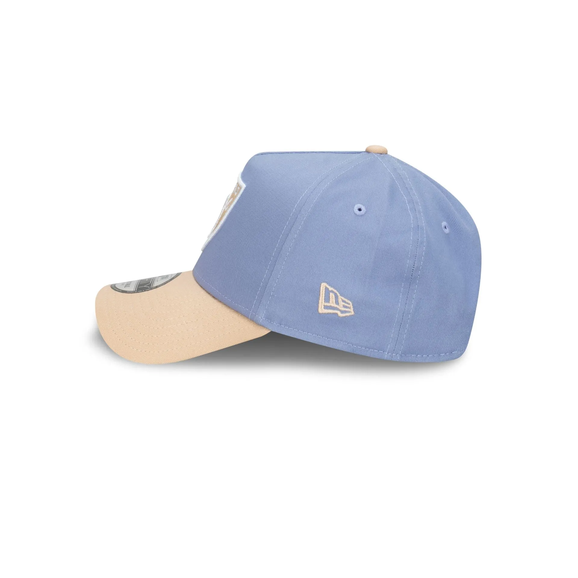 Las Vegas Raiders Blueberry Cream 9FORTY A-Frame Snapback