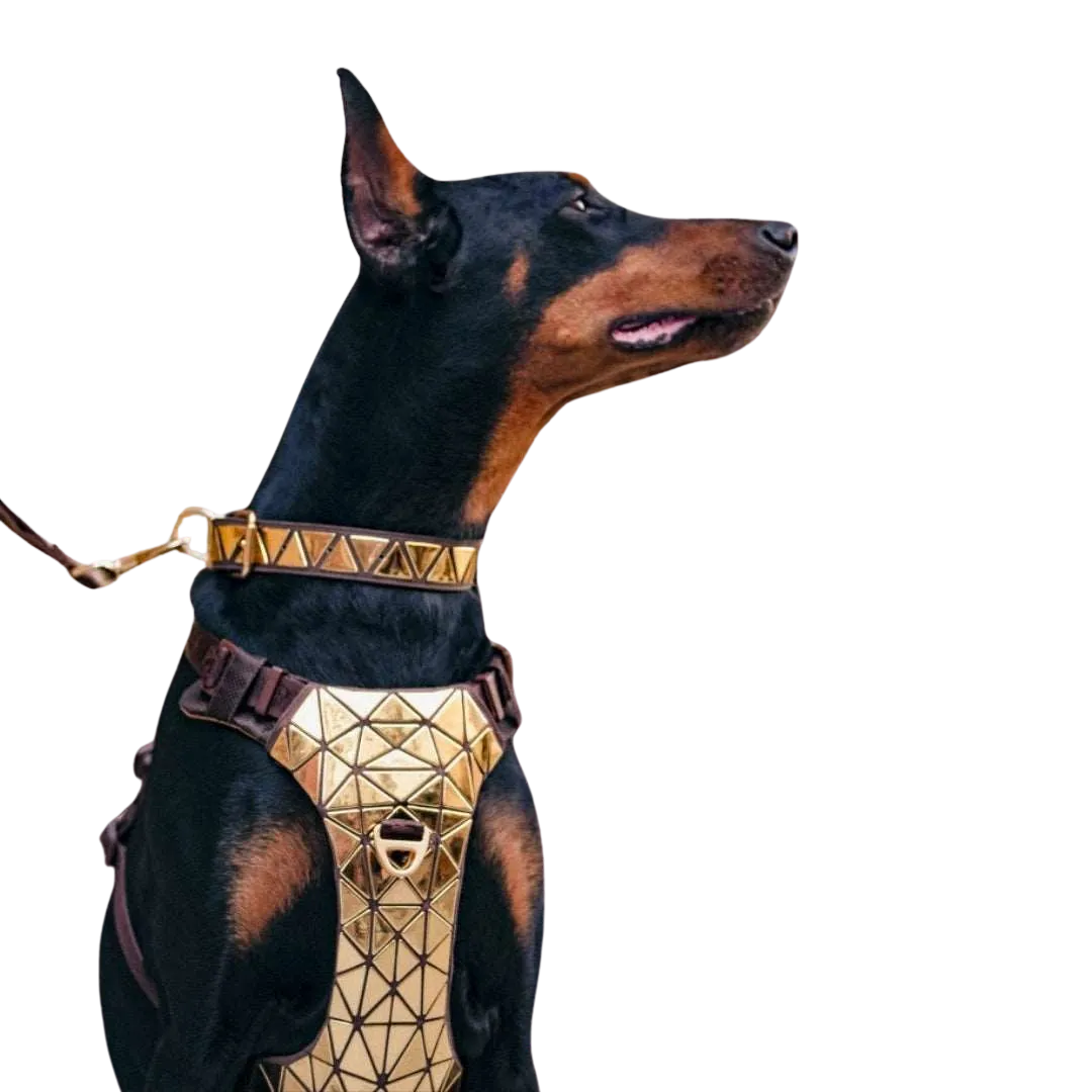 Pawoof Canis Pugnax Harness
