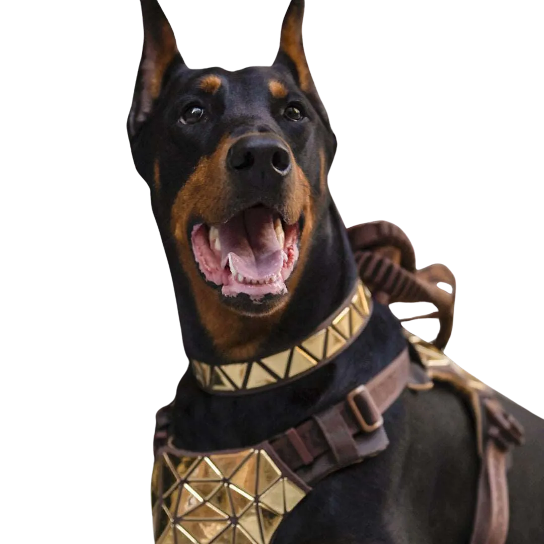 Pawoof Canis Pugnax Harness