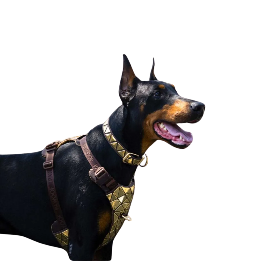 Pawoof Canis Pugnax Harness