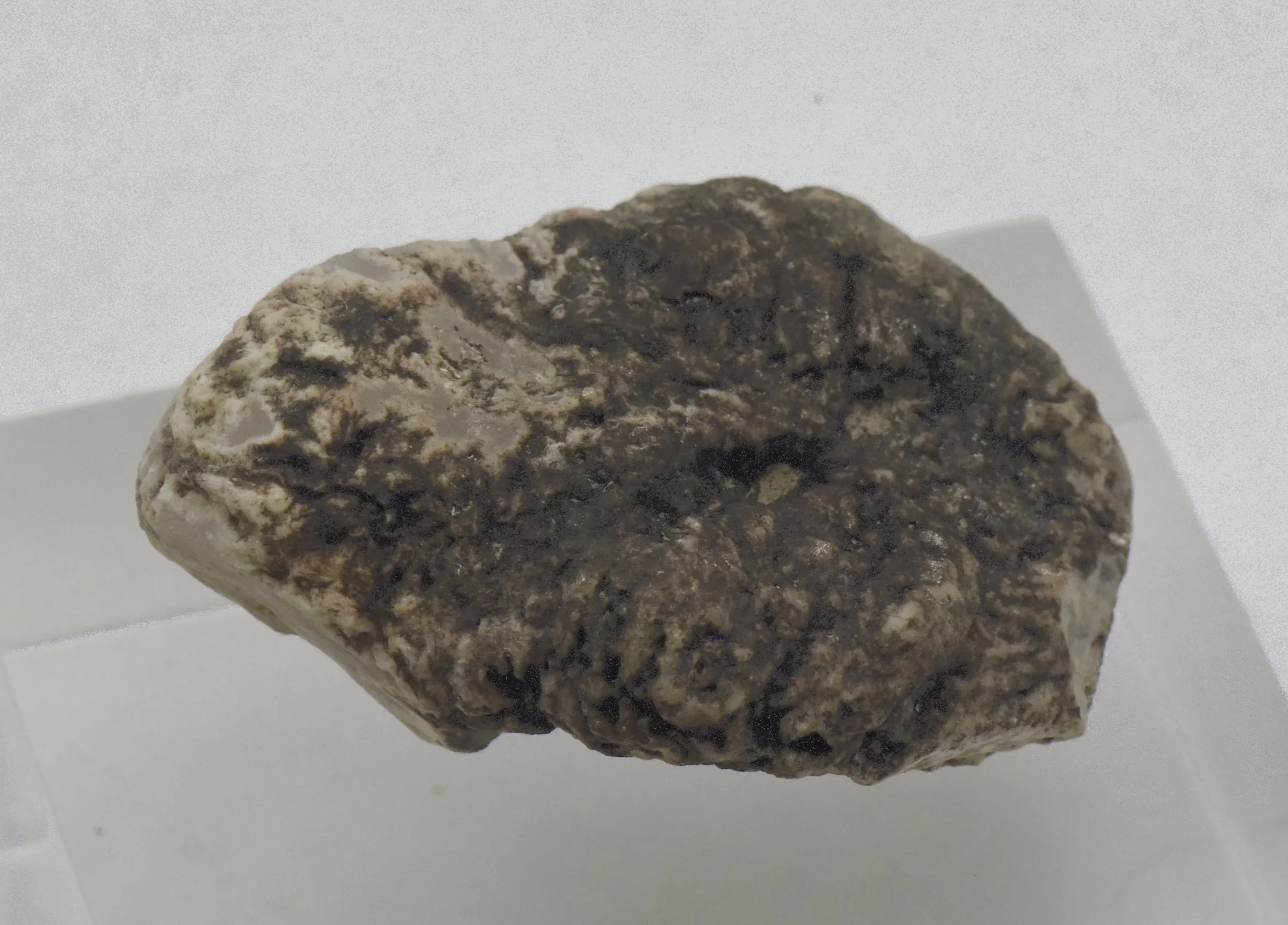 Raw Chalcedony Chunk